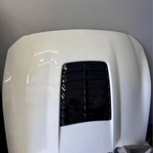 2018-20 Mustang Hood.
