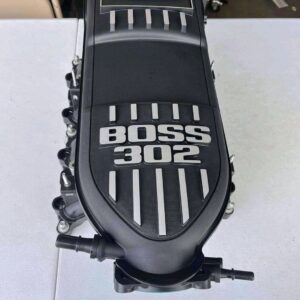 2020 ford f150 ported boss 302.