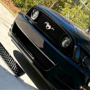 S197 Mustang fog lights and grill.
